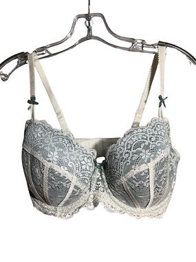 H&M Vintage Lace Underwire Bra in Cream and Sage Green 34D